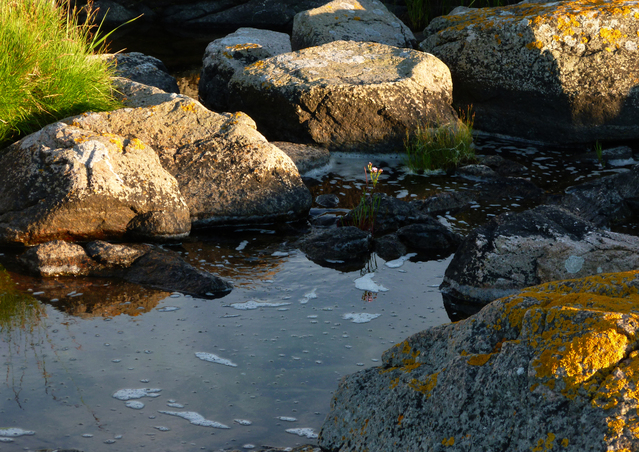 rock-pool-1617441-639x451